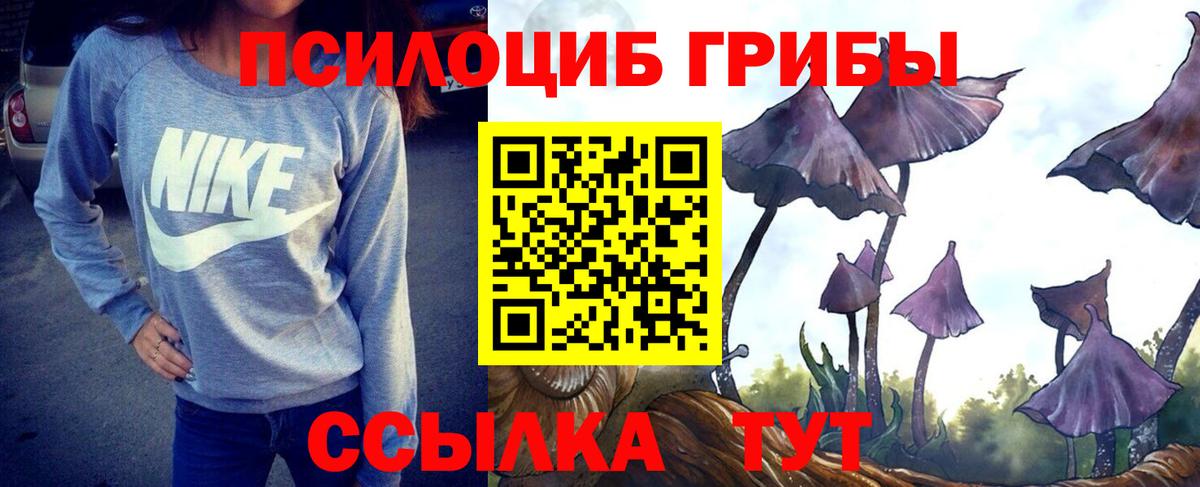 Галлюциногенные грибы Cubensis Сафоново